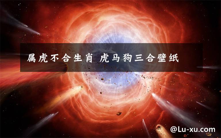 属虎不合生肖 虎马狗三合壁纸
