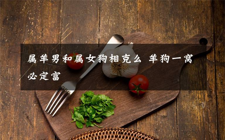 属羊男和属女狗相克么 羊狗一窝必定富