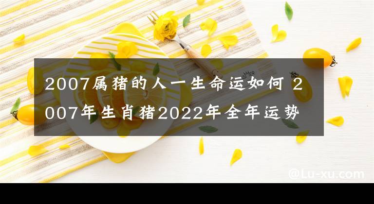 2007属猪的人一生命运如何 2007年生肖猪2022年全年运势