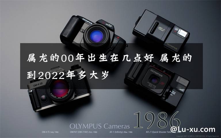 属龙的00年出生在几点好 属龙的到2022年多大岁