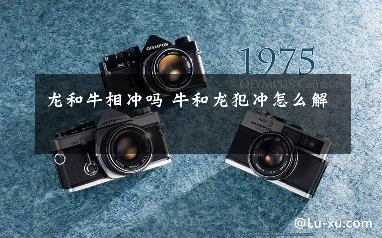 龙和牛相冲吗 牛和龙犯冲怎么解