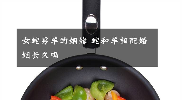 女蛇男羊的姻缘 蛇和羊相配婚姻长久吗