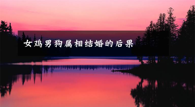 女鸡男狗属相结婚的后果