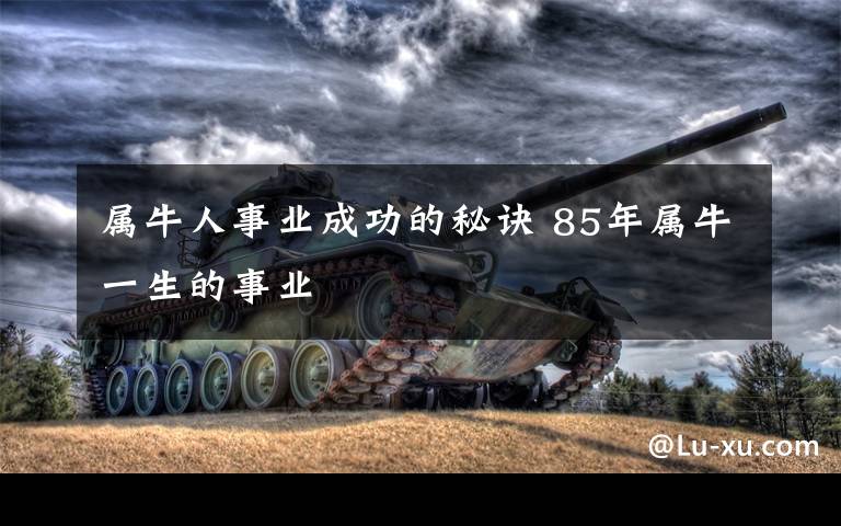 属牛人事业成功的秘诀 85年属牛一生的事业