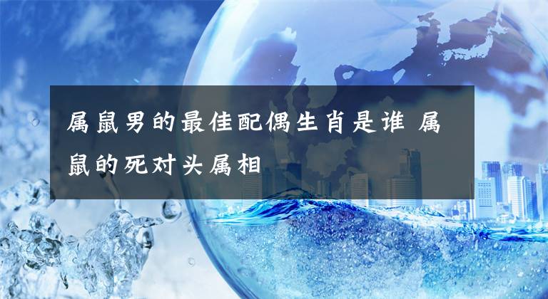 属鼠男的最佳配偶生肖是谁 属鼠的死对头属相