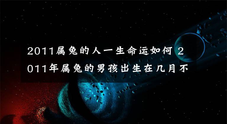2011属兔的人一生命运如何 2011年属兔的男孩出生在几月不好