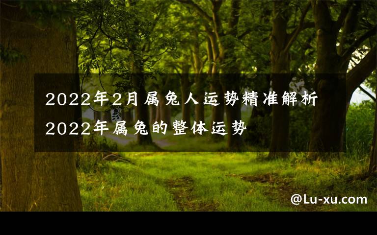 2022年2月属兔人运势精准解析 2022年属兔的整体运势