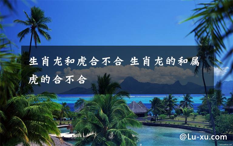 生肖龙和虎合不合 生肖龙的和属虎的合不合