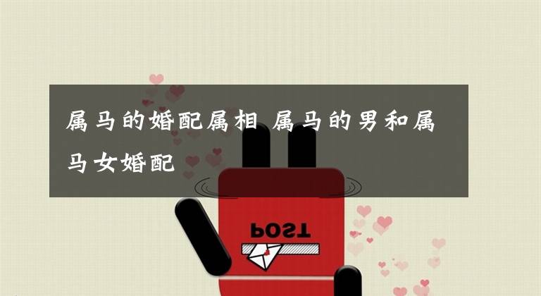 属马的婚配属相 属马的男和属马女婚配
