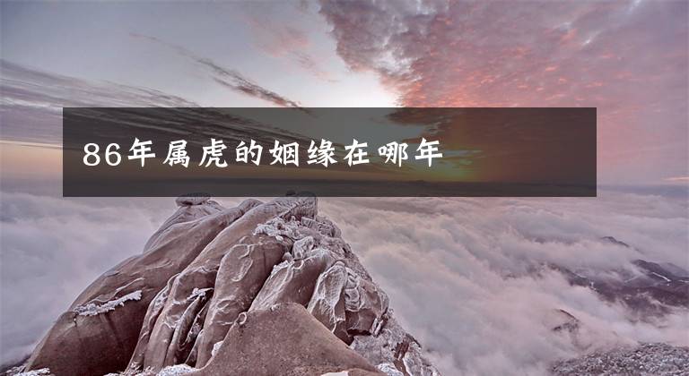 86年属虎的姻缘在哪年