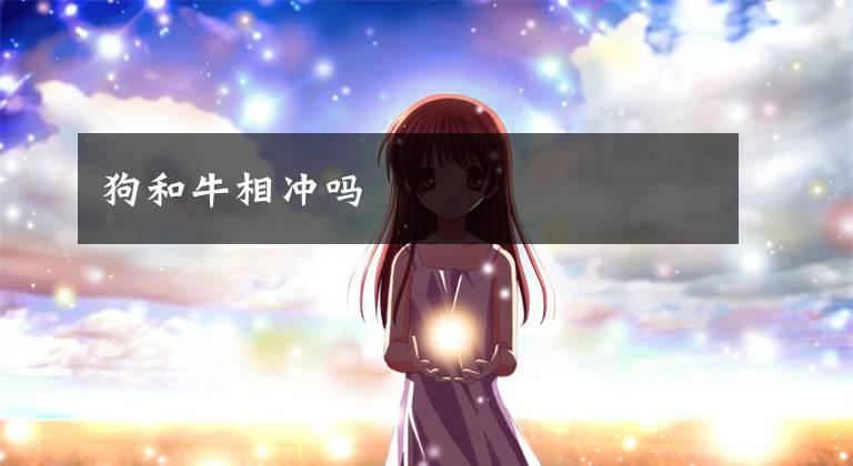 狗和牛相冲吗