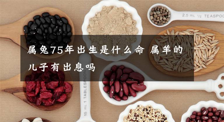 属兔75年出生是什么命 属羊的儿子有出息吗