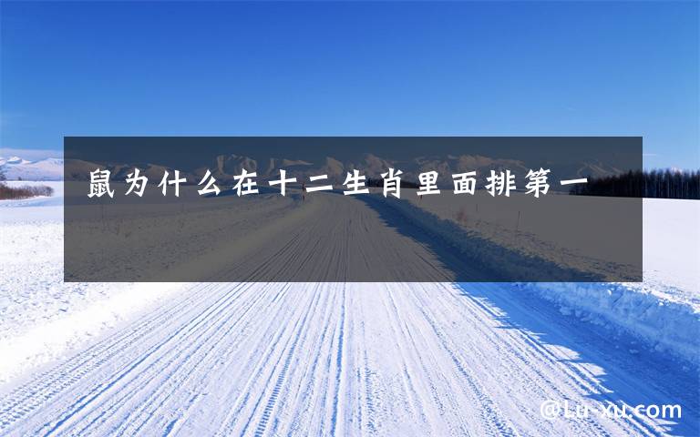 鼠为什么在十二生肖里面排第一