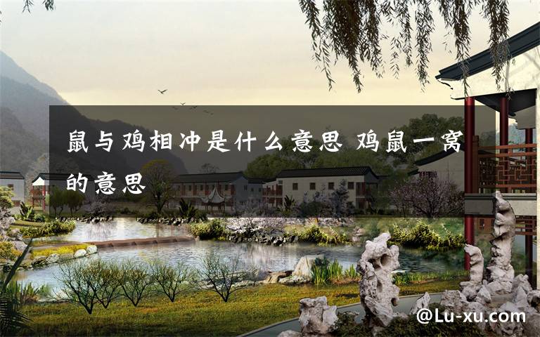 鼠与鸡相冲是什么意思 鸡鼠一窝的意思