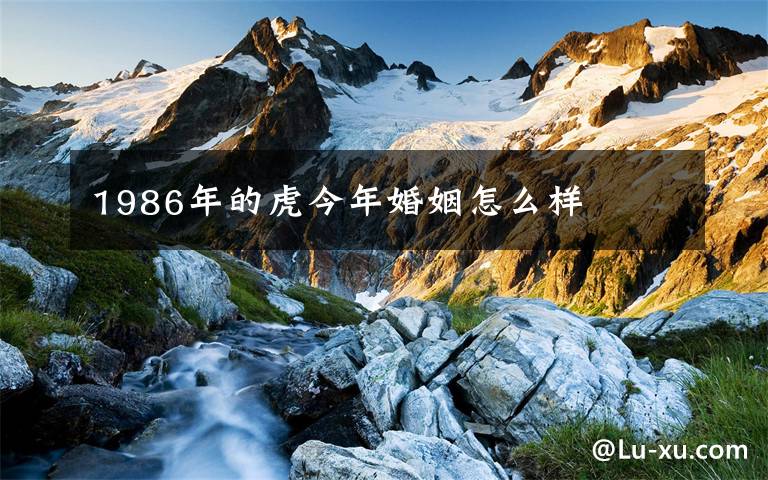 1986年的虎今年婚姻怎么样