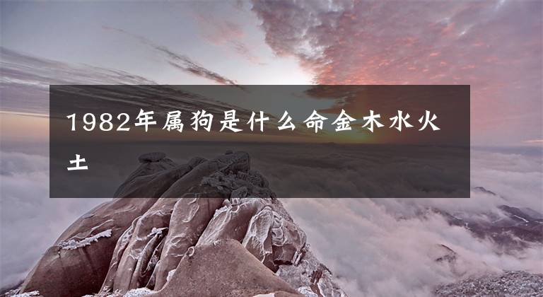 1982年属狗是什么命金木水火土