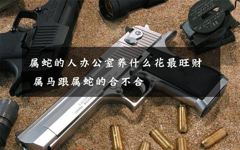 属蛇的人办公室养什么花最旺财 属马跟属蛇的合不合