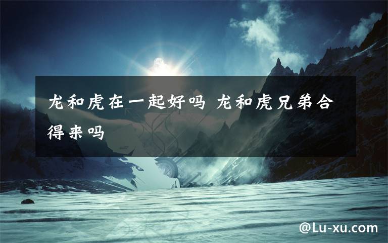 龙和虎在一起好吗 龙和虎兄弟合得来吗