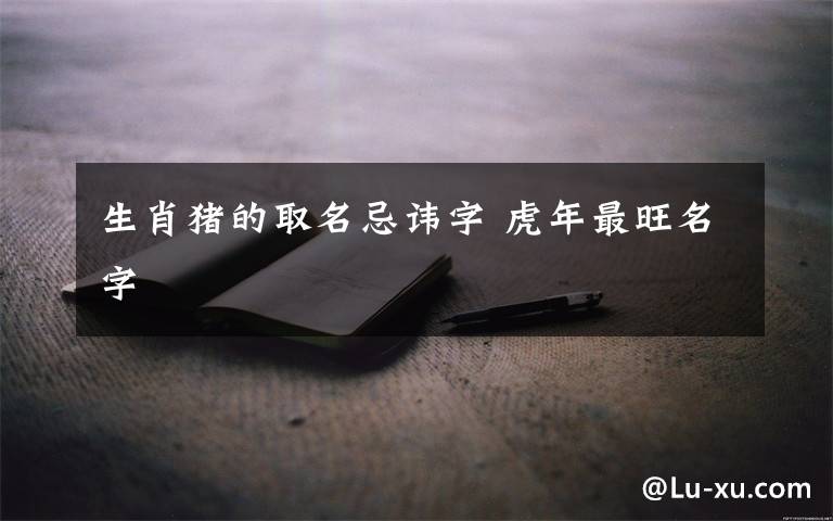 生肖猪的取名忌讳字 虎年最旺名字