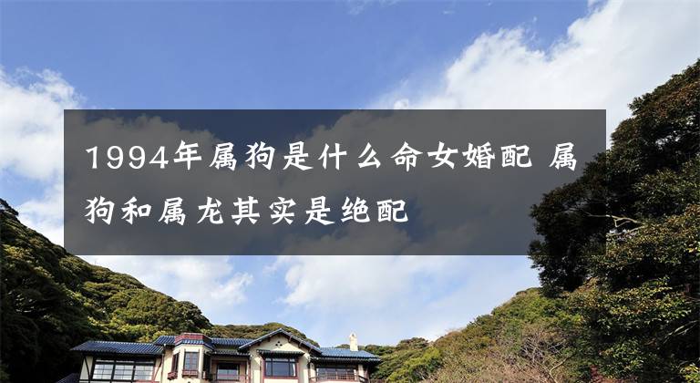 1994年属狗是什么命女婚配 属狗和属龙其实是绝配