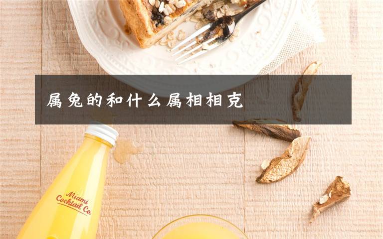 属兔的和什么属相相克