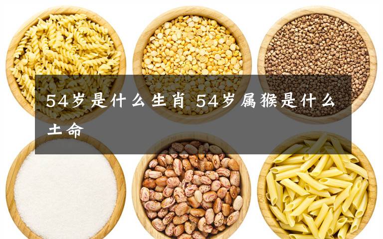 54岁是什么生肖 54岁属猴是什么土命