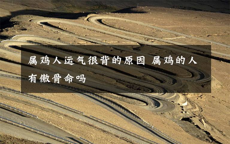 属鸡人运气很背的原因 属鸡的人有傲骨命吗