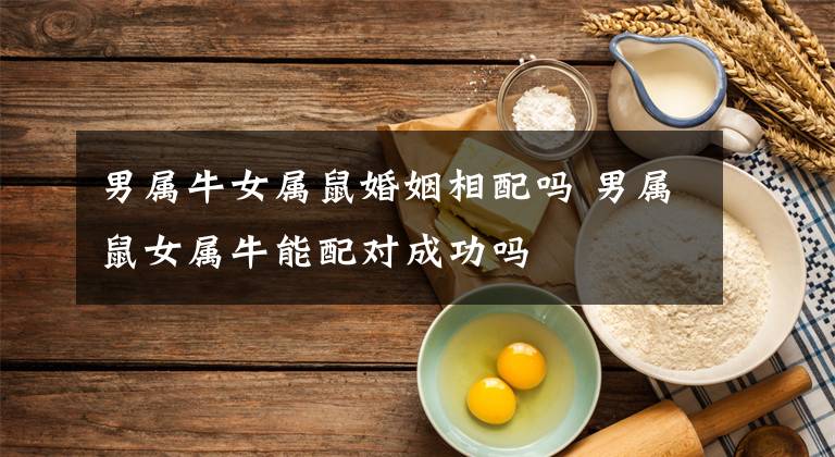 男属牛女属鼠婚姻相配吗 男属鼠女属牛能配对成功吗