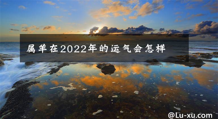 属羊在2022年的运气会怎样