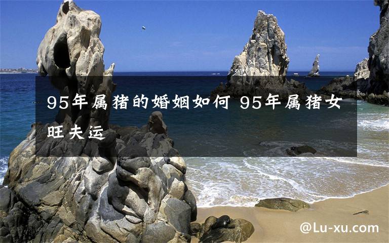 95年属猪的婚姻如何 95年属猪女旺夫运