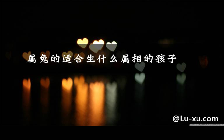 属兔的适合生什么属相的孩子