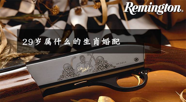 29岁属什么的生肖婚配