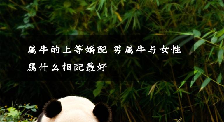 属牛的上等婚配 男属牛与女性属什么相配最好