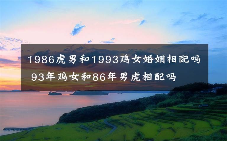 1986虎男和1993鸡女婚姻相配吗 93年鸡女和86年男虎相配吗