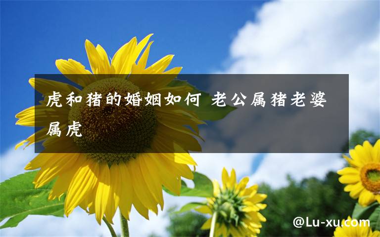 虎和猪的婚姻如何 老公属猪老婆属虎