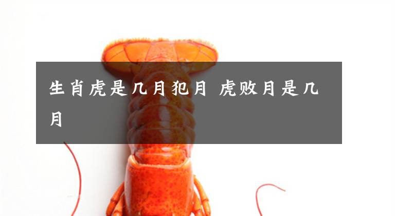 生肖虎是几月犯月 虎败月是几月