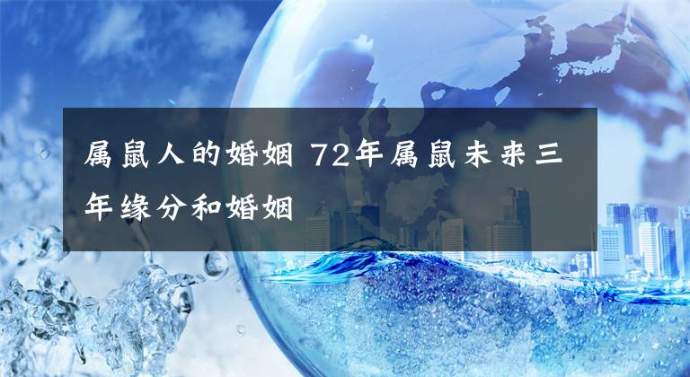 属鼠人的婚姻 72年属鼠未来三年缘分和婚姻