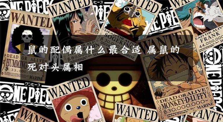 鼠的配偶属什么最合适 属鼠的死对头属相