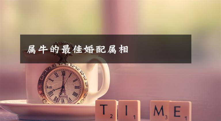 属牛的最佳婚配属相