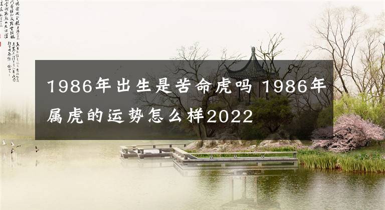 1986年出生是苦命虎吗 1986年属虎的运势怎么样2022