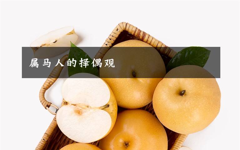 属马人的择偶观