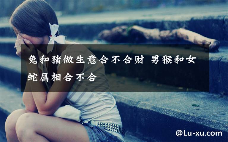 兔和猪做生意合不合财 男猴和女蛇属相合不合