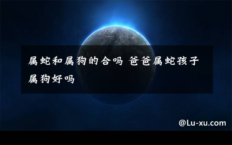 属蛇和属狗的合吗 爸爸属蛇孩子属狗好吗