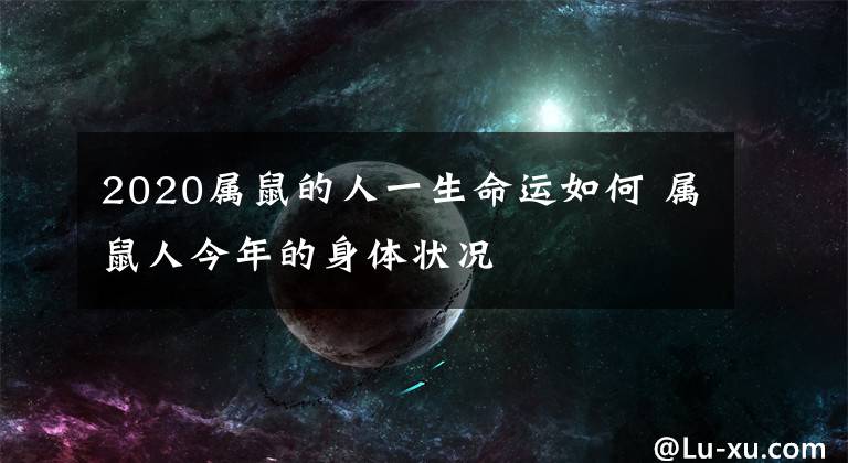 2020属鼠的人一生命运如何 属鼠人今年的身体状况