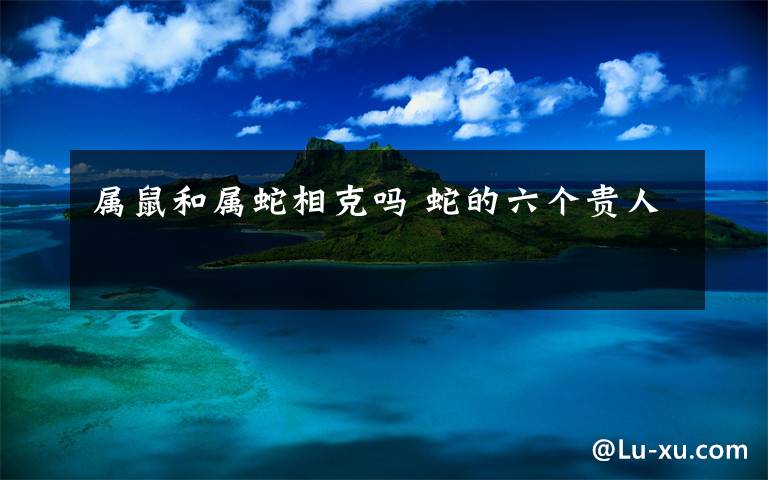 属鼠和属蛇相克吗 蛇的六个贵人