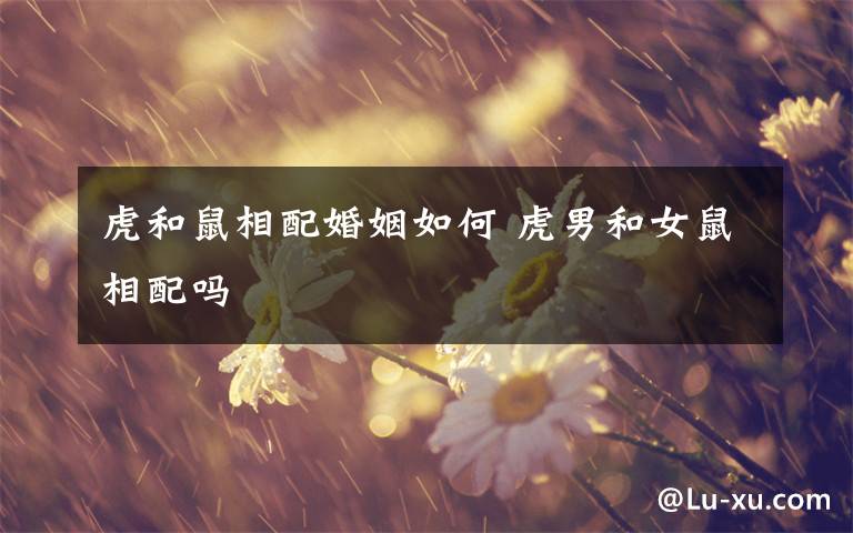 虎和鼠相配婚姻如何 虎男和女鼠相配吗