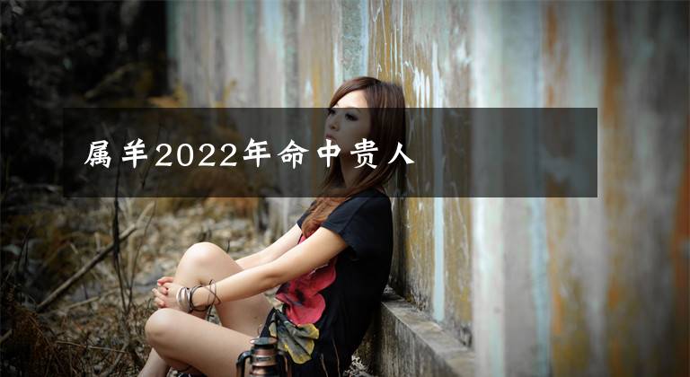 属羊2022年命中贵人