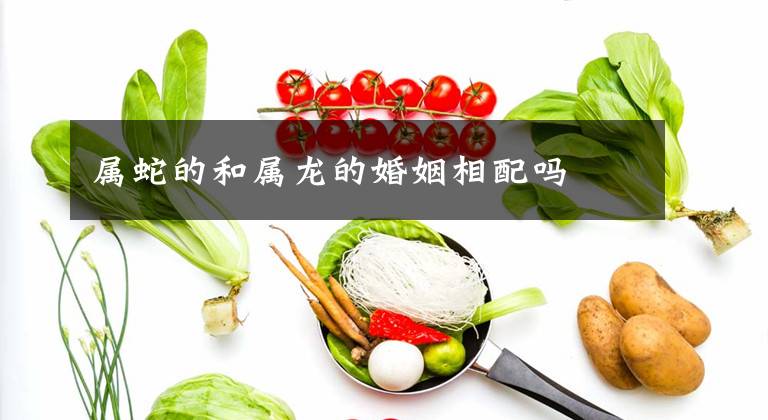 属蛇的和属龙的婚姻相配吗