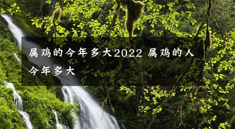 属鸡的今年多大2022 属鸡的人今年多大