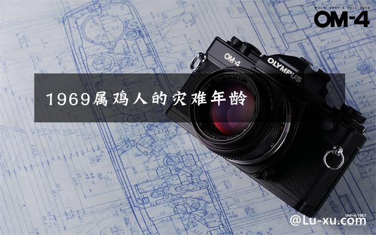 1969属鸡人的灾难年龄